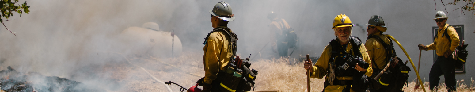 Wildland Pants